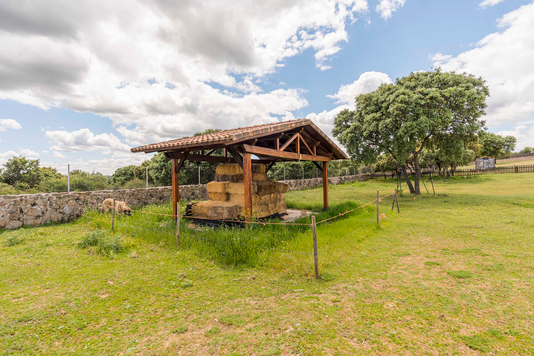 Estate in Guadalix de la Sierra - 物件實景