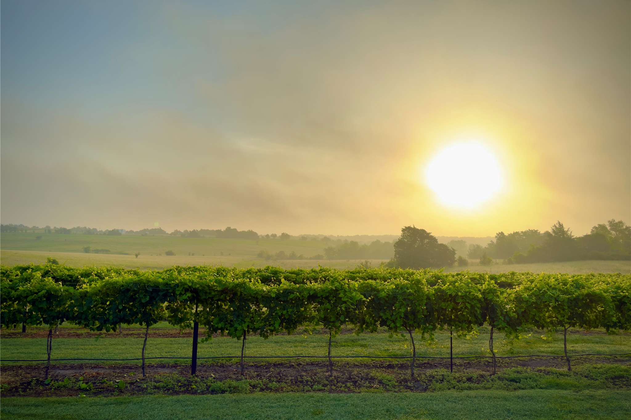  5025 Wickel Road - 物件實景