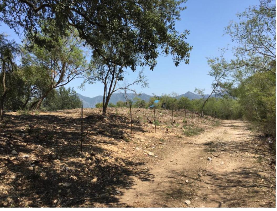 El Barrial, Santiago, Nuevo León, 67323, Mexico, 1 Bedroom Bedrooms, ,Residential,For Sale,El Barrial,1621120