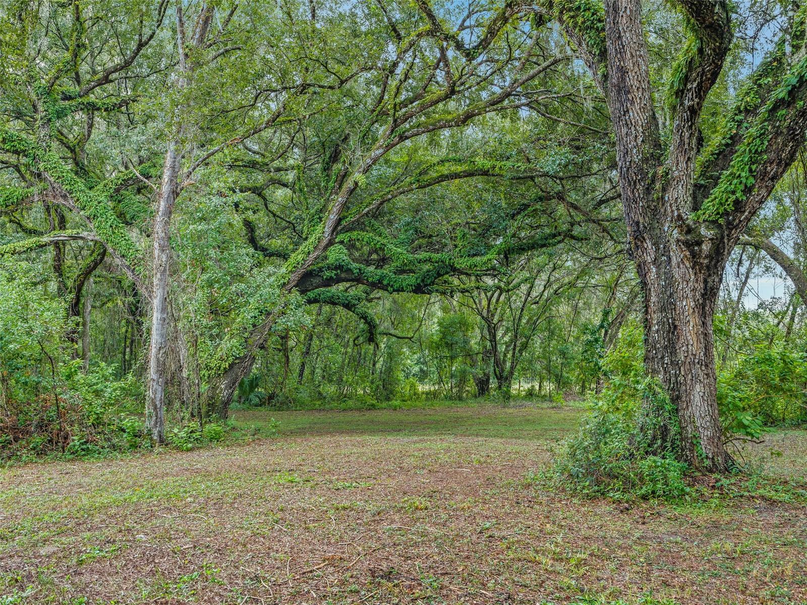 Bushnell, Florida, 33513, United States, 2 Bedrooms Bedrooms, ,2 BathroomsBathrooms,Residential,For Sale,1927706