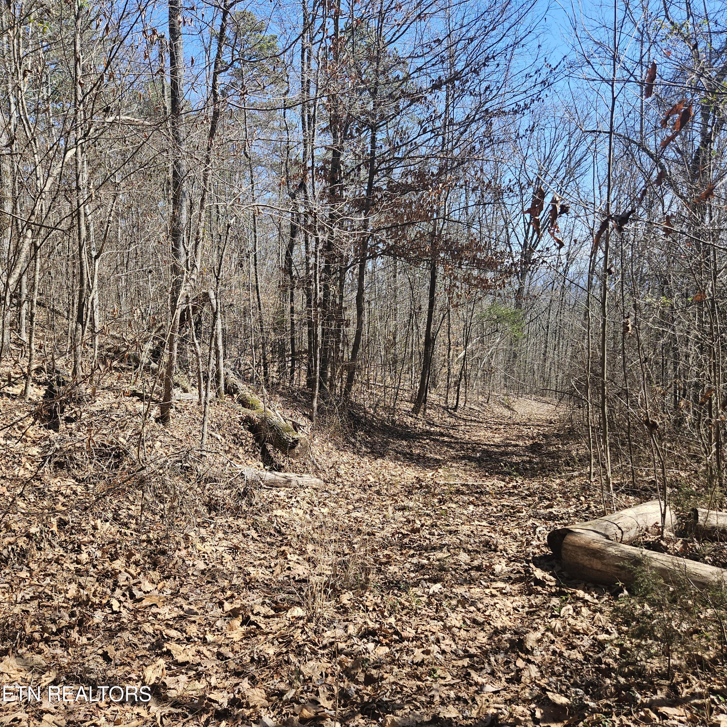 Tellico Plains, Tennessee, 37385, United States, ,Residential,For Sale,1922105