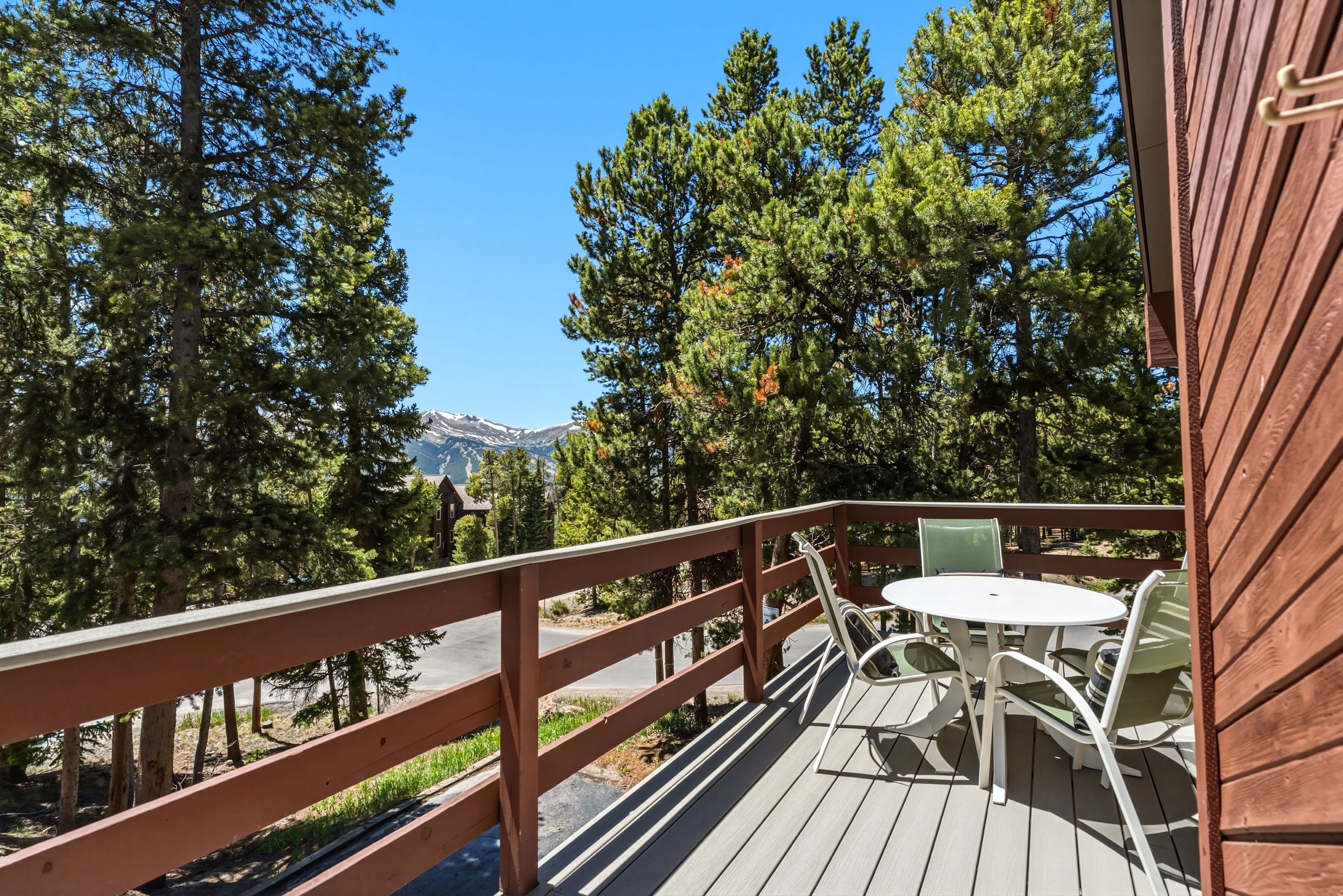  1233 Baldy Road, Breckenridge, CO 80424 - 物件實景