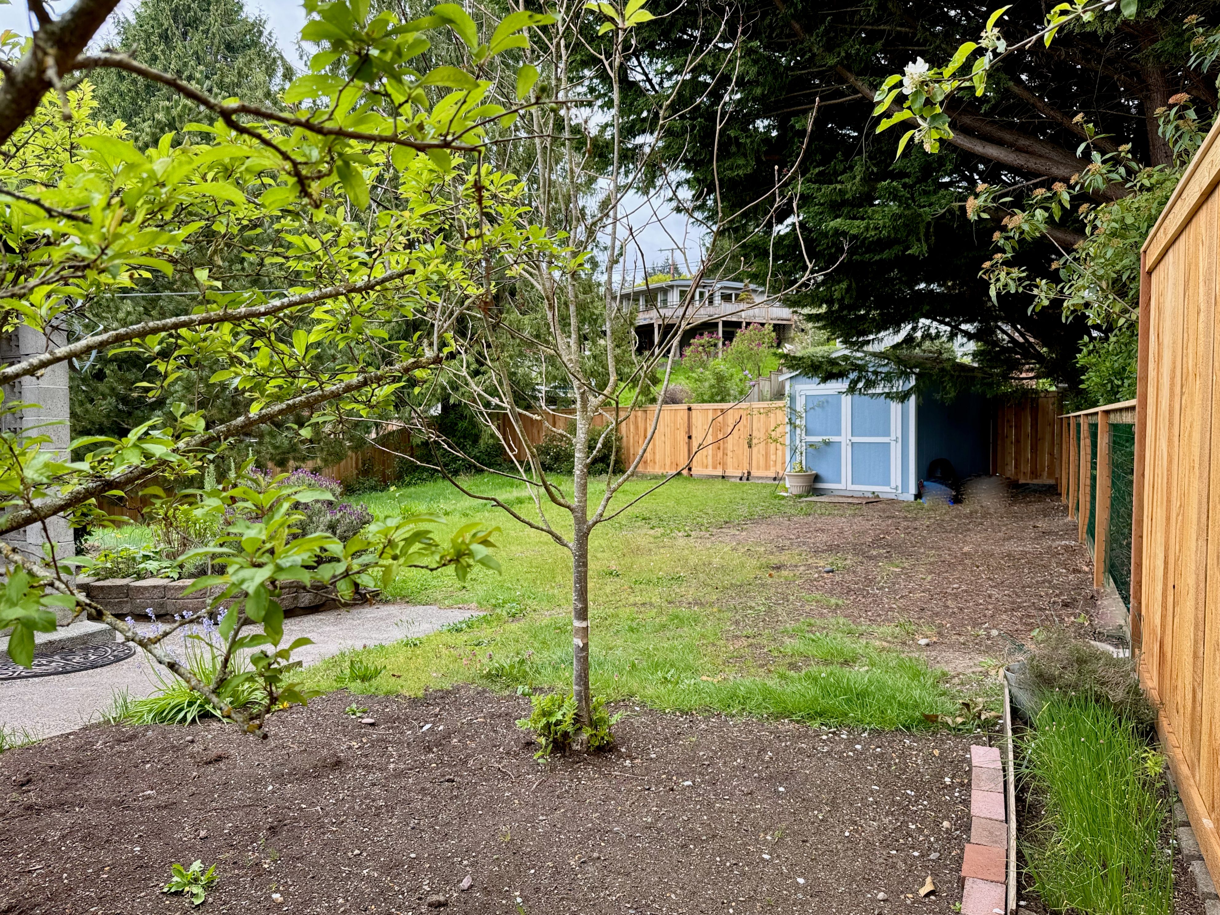  18616 Angeline Avenue Northeast, Suquamish, WA 98392 - 物件實景