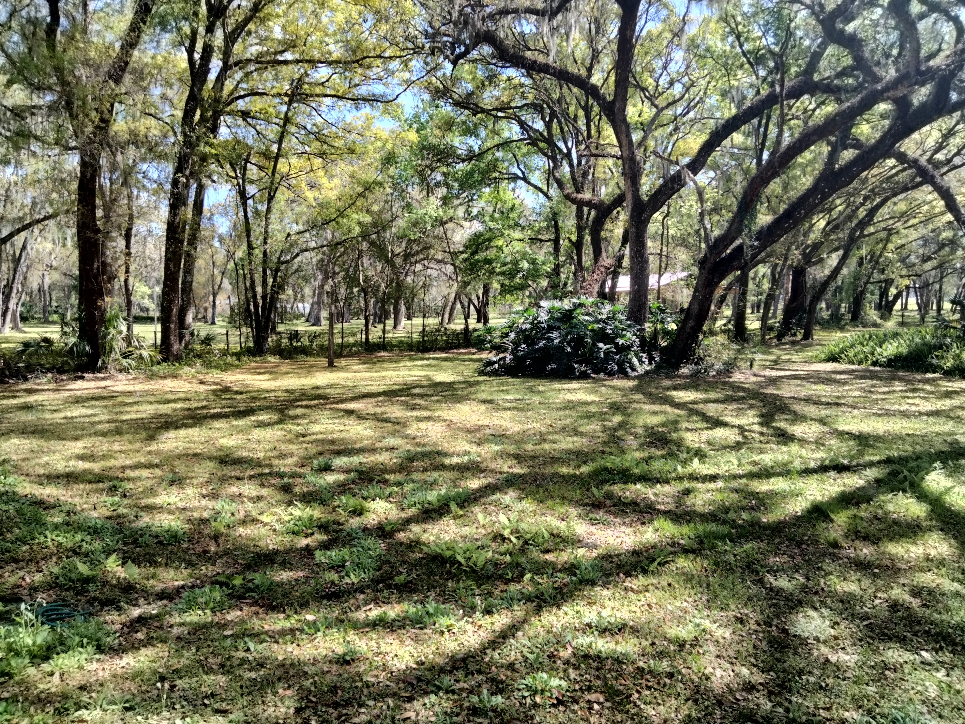 Dover, Florida, 33527, United States, 4 Bedrooms Bedrooms, ,5 BathroomsBathrooms,Residential,For Sale,1982363