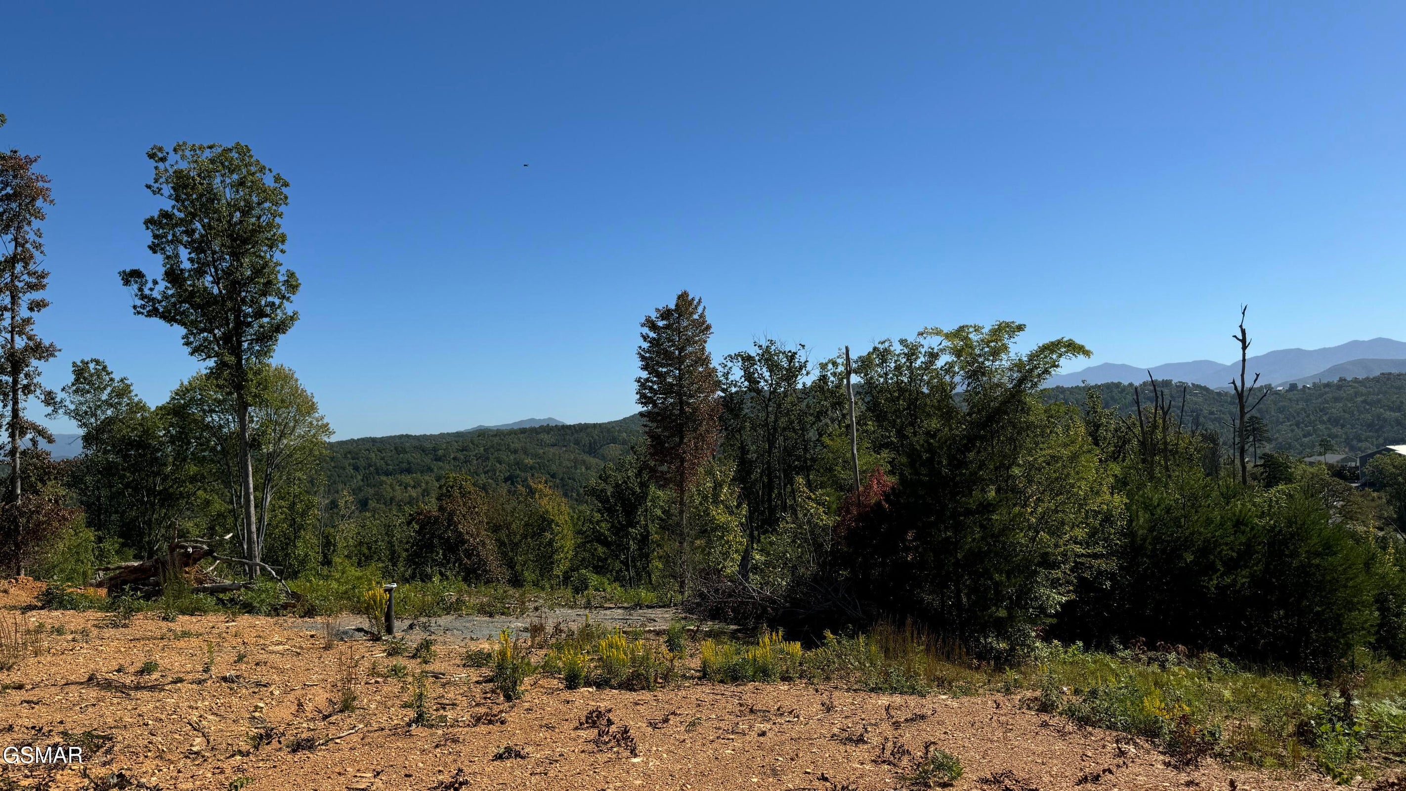 Gatlinburg, Tennessee, 37738, United States, ,Land,For Sale,1973768