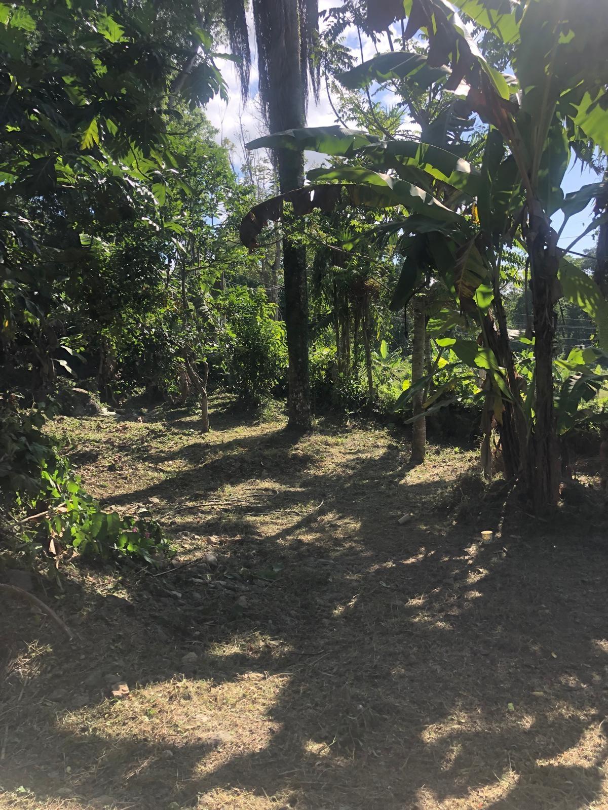 St. Ann, JM, 5 Bedrooms Bedrooms, ,3 BathroomsBathrooms,Residential,For Sale,1932933