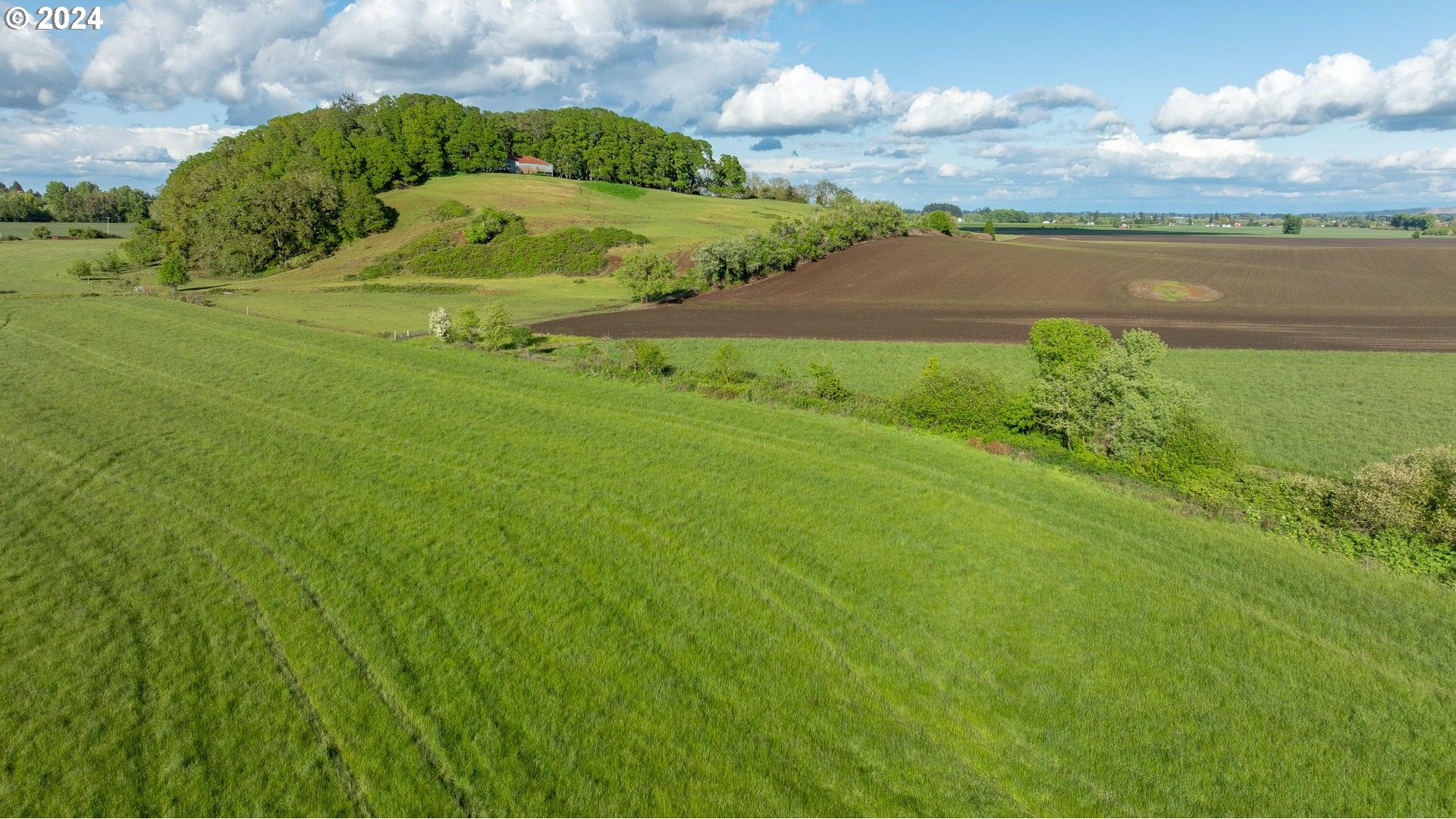 0 SW YOUNGBERG HILL RD, McMinnville, Oregon, 97128, United States, ,Land,For Sale,0 SW YOUNGBERG HILL RD,1523694