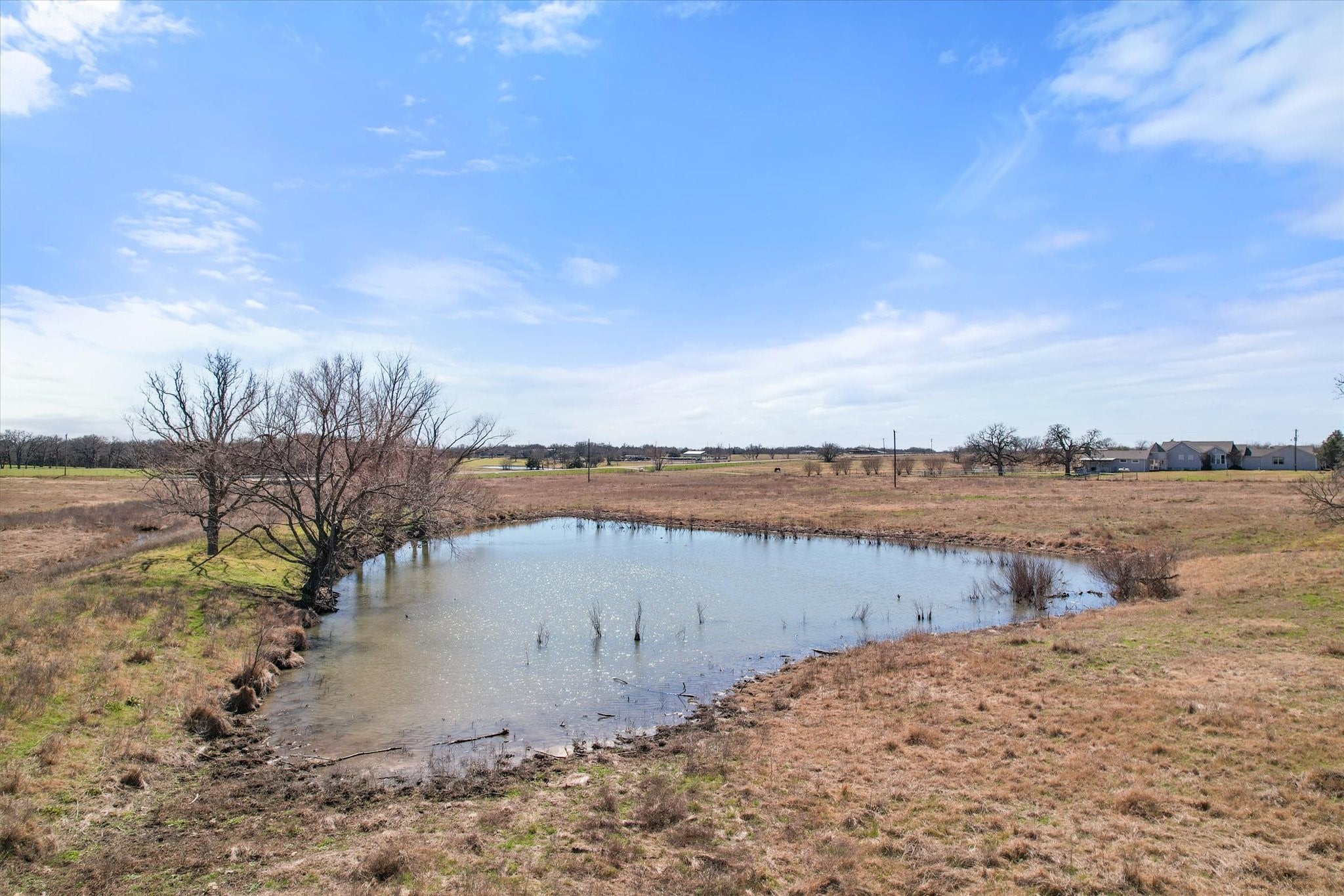 Frost, Texas, 76641, United States, ,Land,For Sale,1978385