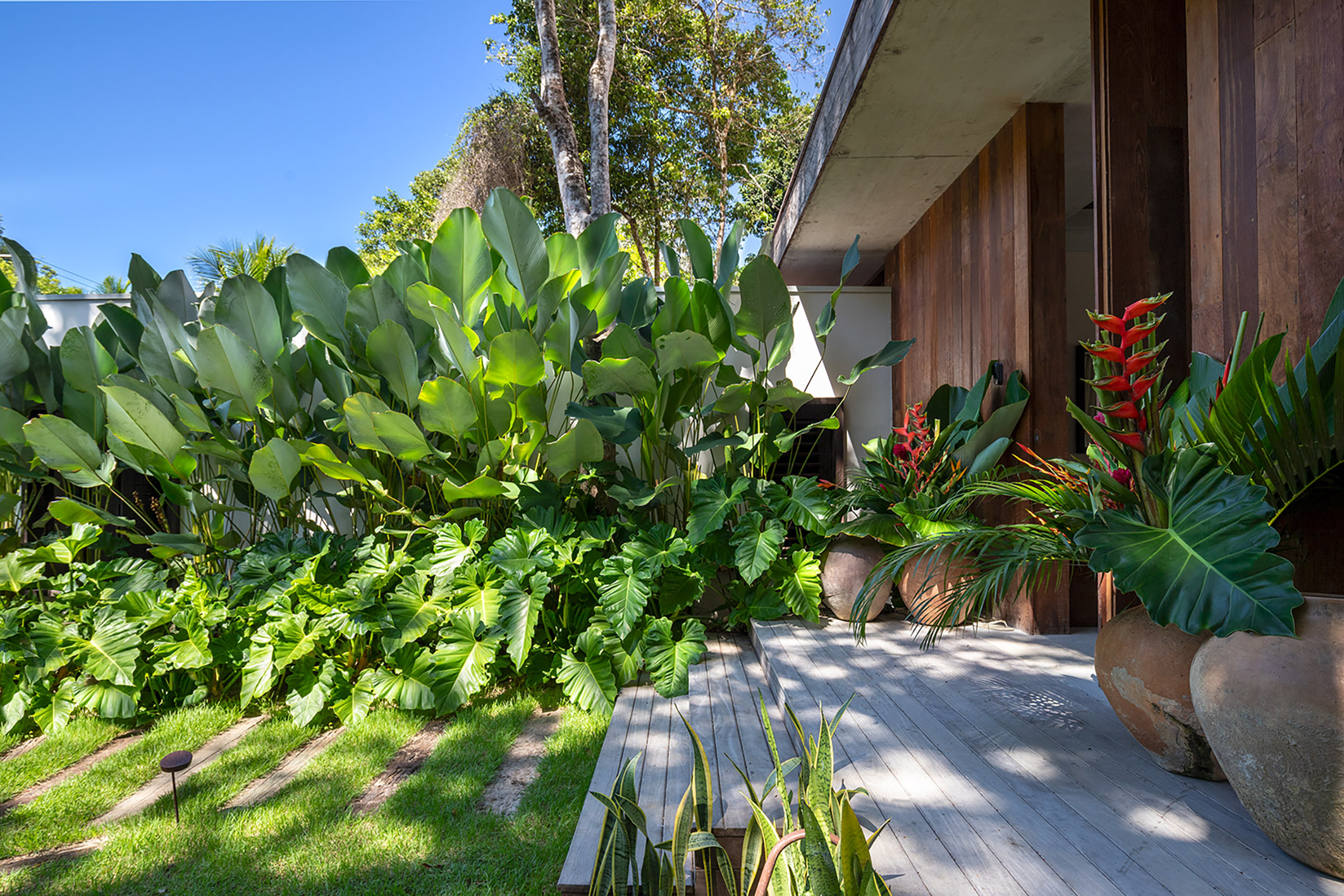  Contemporary Home in Altos de Trancoso, only few minutes from the Quadrado - 物件實景