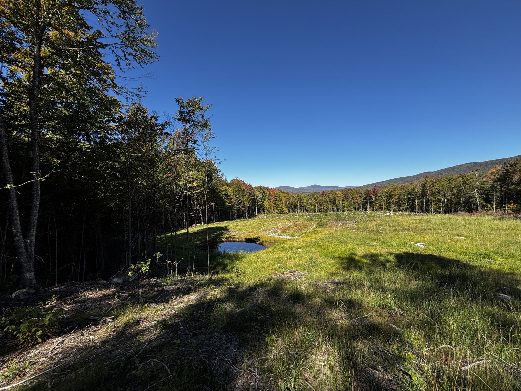  Little Pond Road - 物件實景