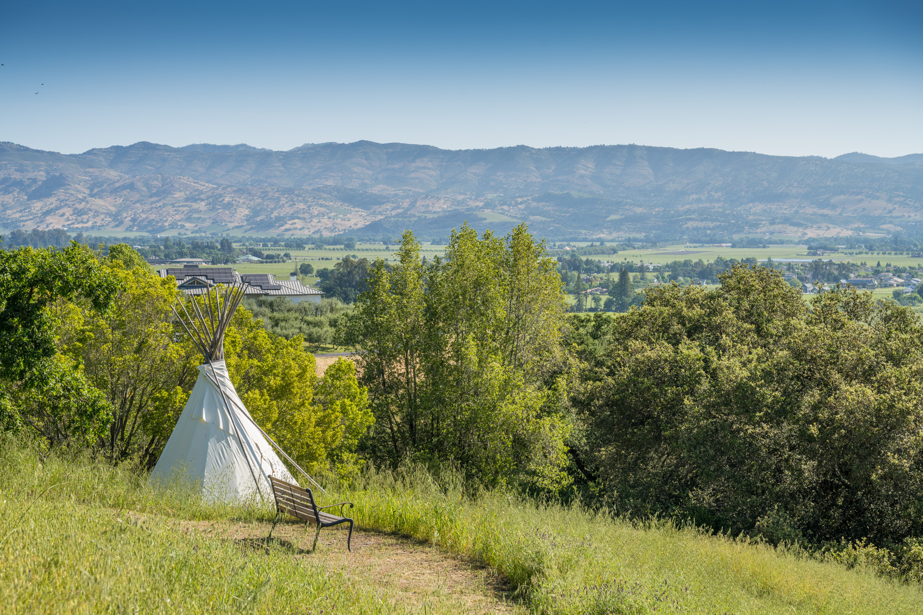  56-Acre Napa Valley Retreat - 物件實景