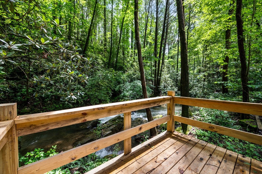 Ellijay, Georgia, 30540, United States, 5 Bedrooms Bedrooms, ,5 BathroomsBathrooms,Residential,For Sale,1868155