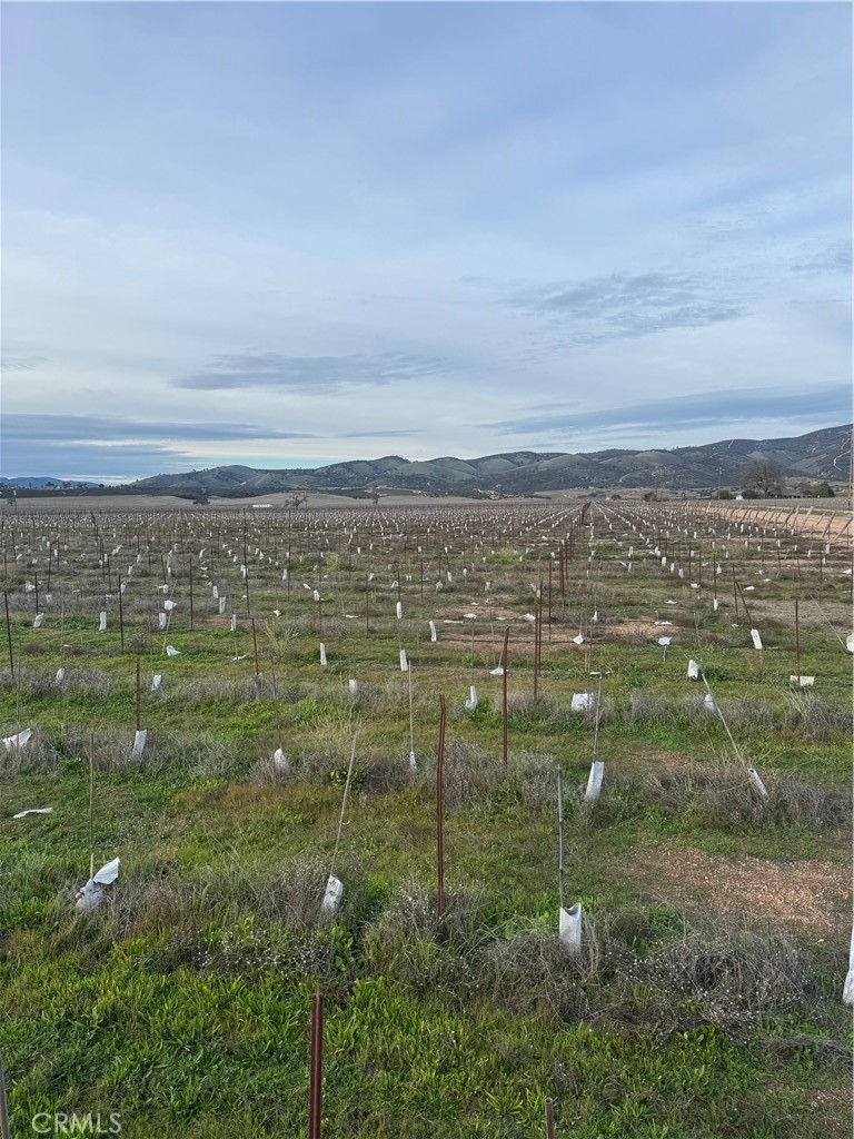 Lockwood, California, 93932, United States, ,Land,For Sale,2006086