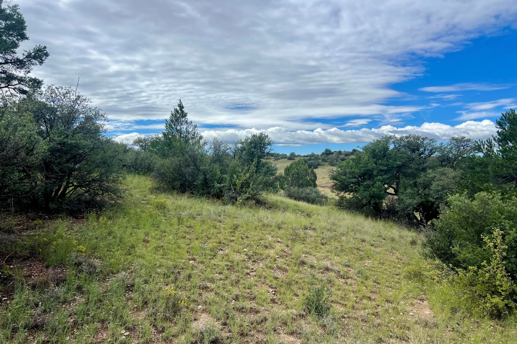  14565 N Puntenney Road¦Prescott, AZ - 物件實景