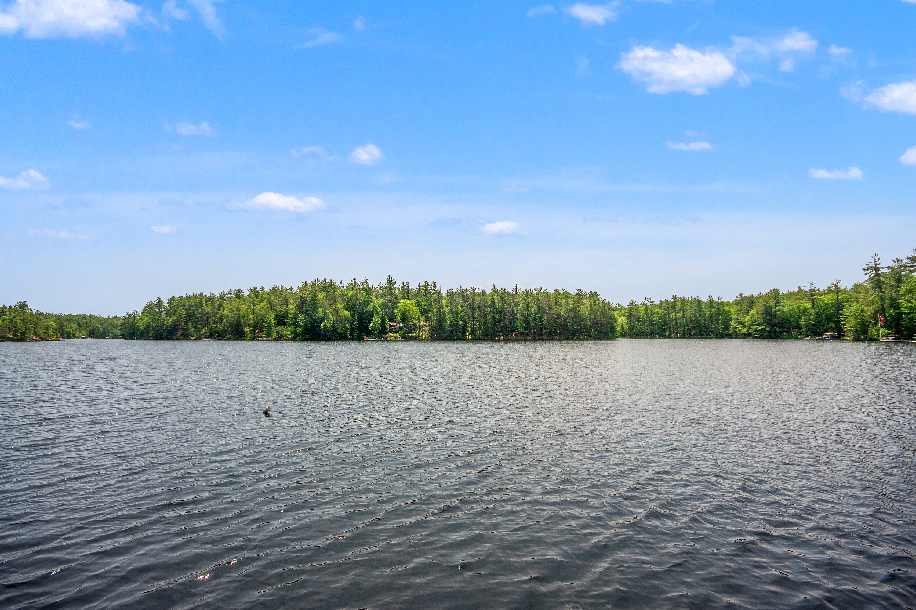  Go Home Lake Family Cottage - 物件實景