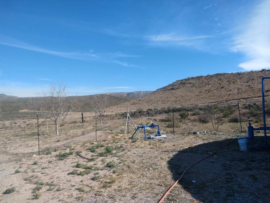 KM 3 CARRETERA PARRAS A GENERAL CEPEDA, Parras, Coahuila de Zaragoza, 27987, Mexico, 1 Bedroom Bedrooms, ,Residential,For Sale,KM 3 CARRETERA PARRAS A GENERAL CEPEDA,1472261