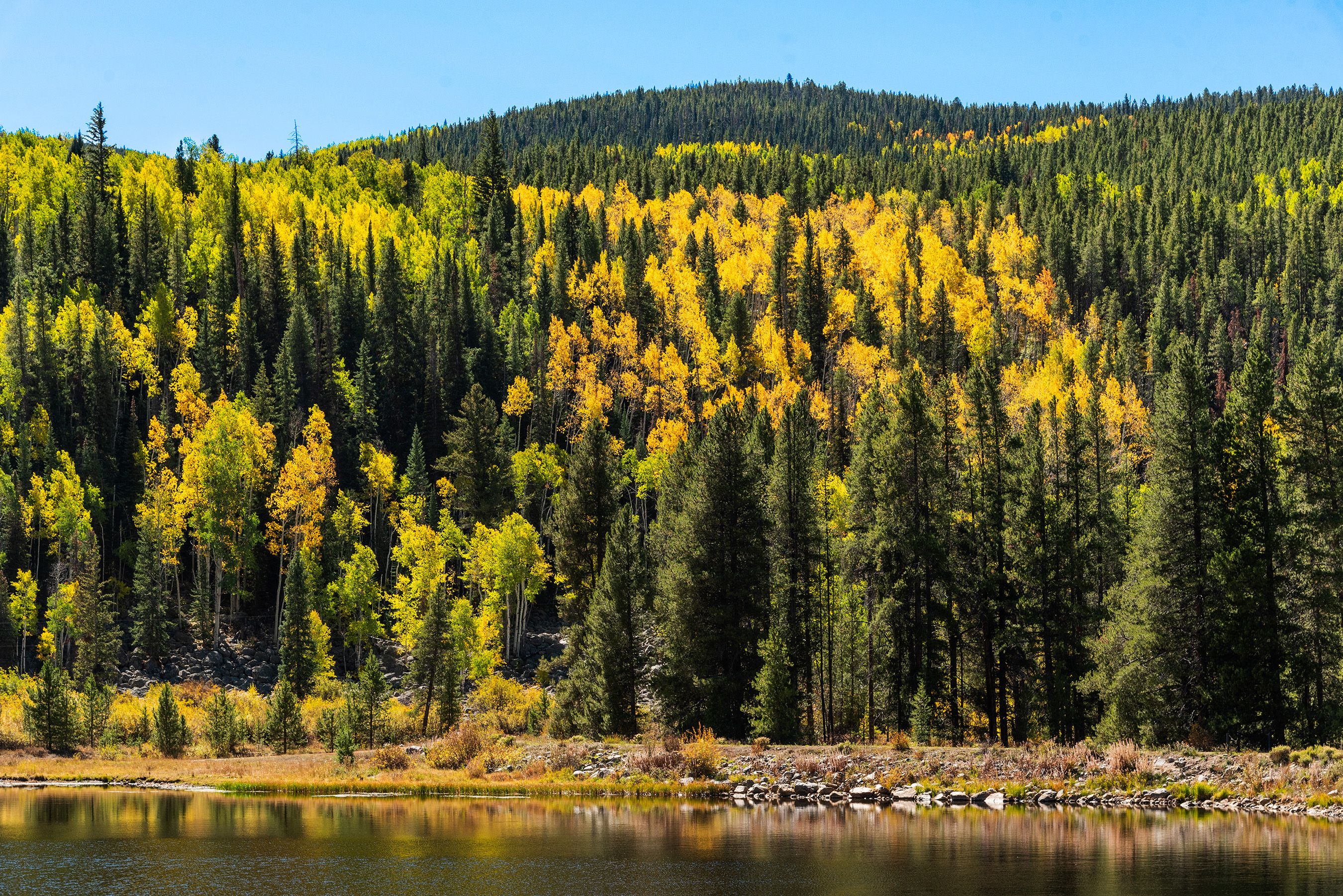  2450 North Fork Road, Meredith, CO, 81642 - 物件實景