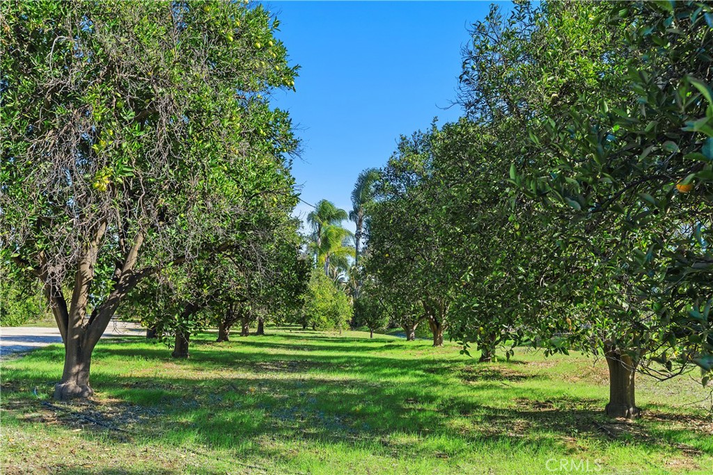 Riverside, California, 92508, United States, 4 Bedrooms Bedrooms, ,4 BathroomsBathrooms,Residential,For Sale,2002132