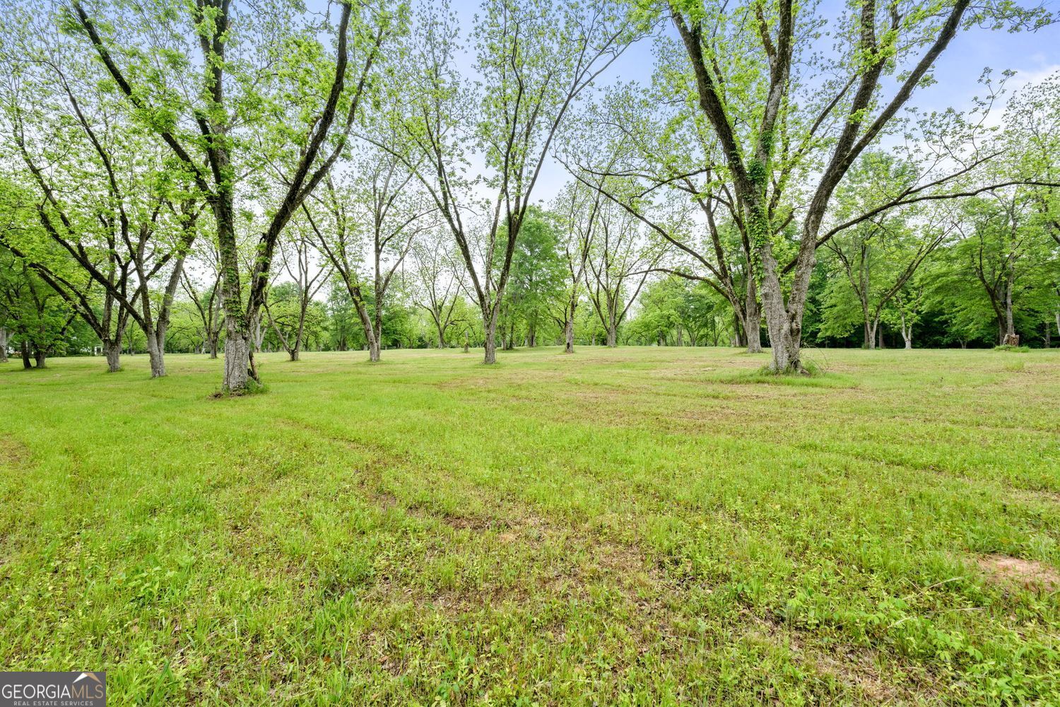 Milner, Georgia, 30257, United States, ,Land,For Sale,1859026
