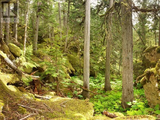 WELLS GRAY, British Columbia, V0E 1N1, CA, 1 Bedroom Bedrooms, ,1 BathroomBathrooms,Residential,For Sale,1838822