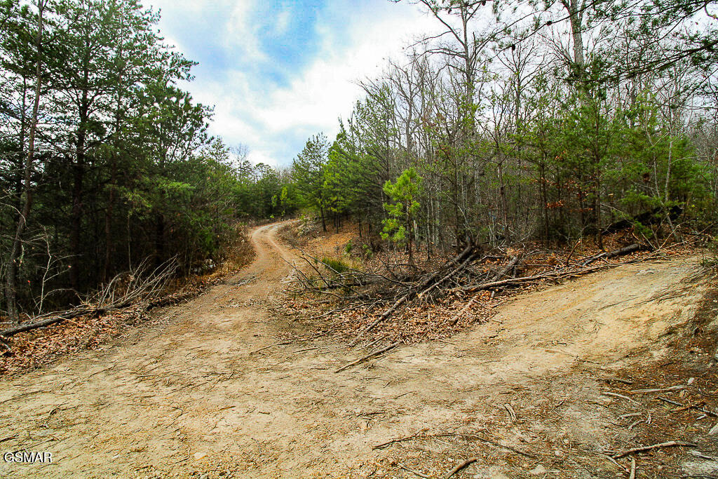 Sevierville, Tennessee, 37876, United States, ,Land,For Sale,2009102