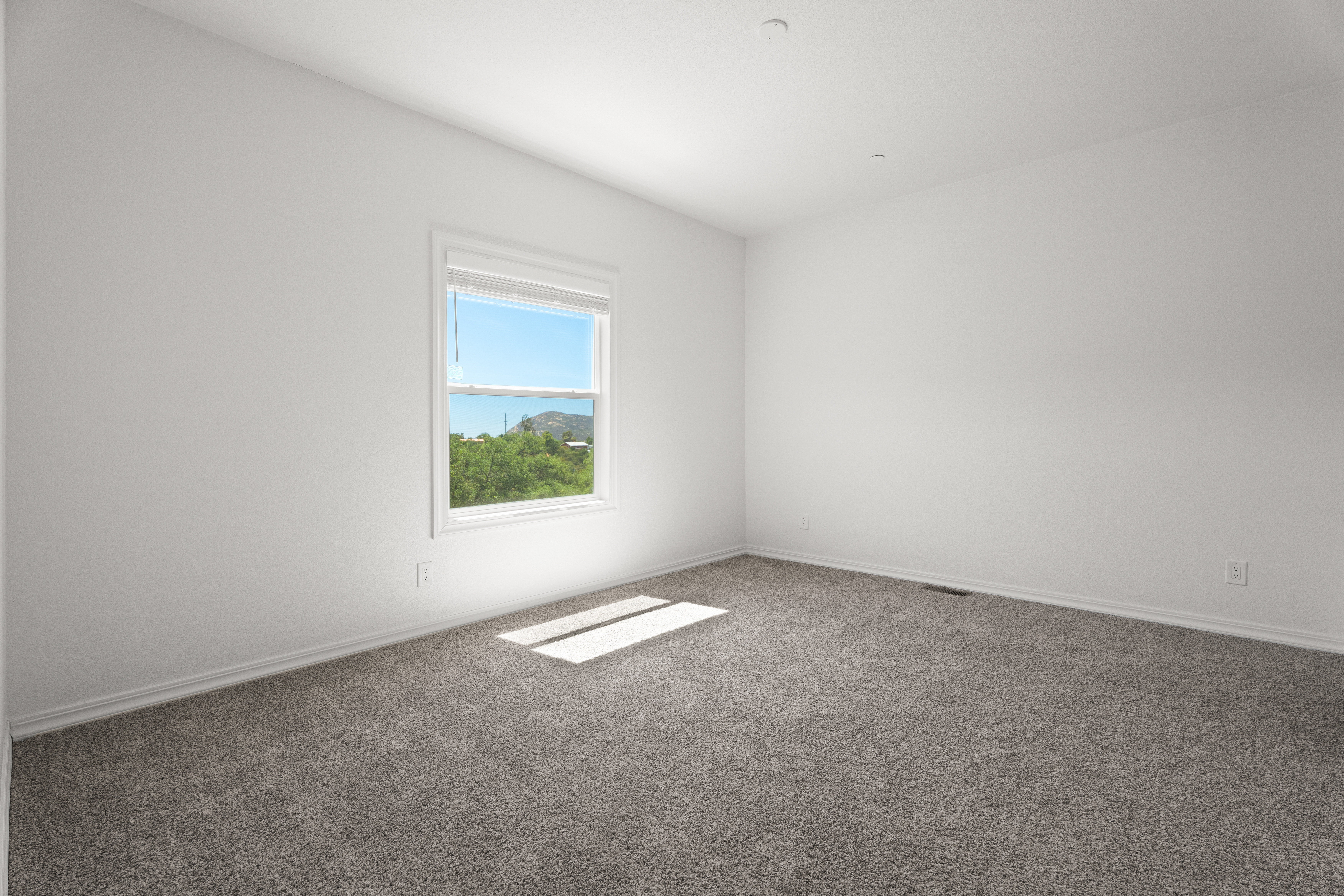  22815 Illahee Drive, Alpine, CA 91901 - 物件實景