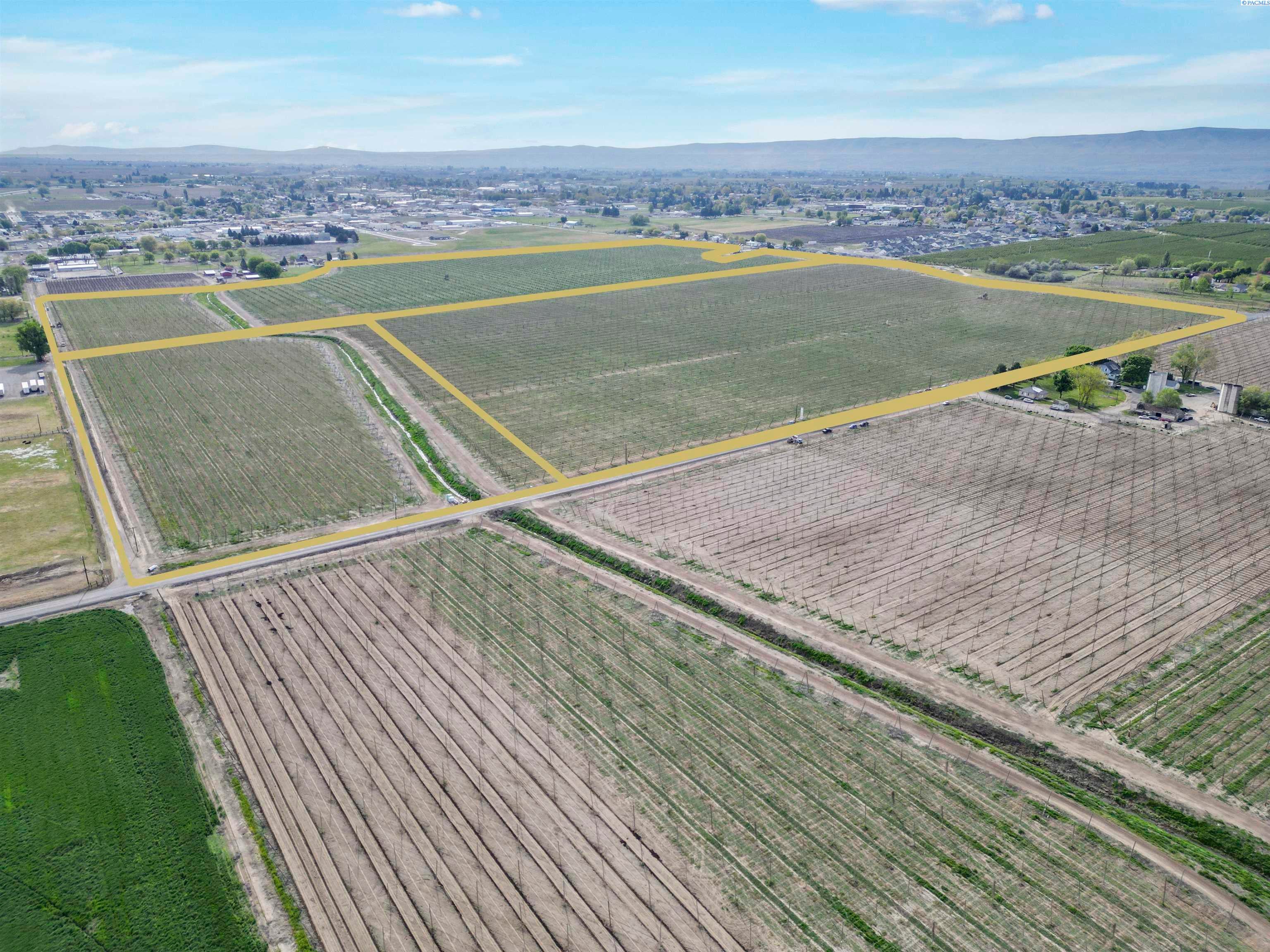 Grandview, Washington, 98930, United States, ,Land,For Sale,1976550