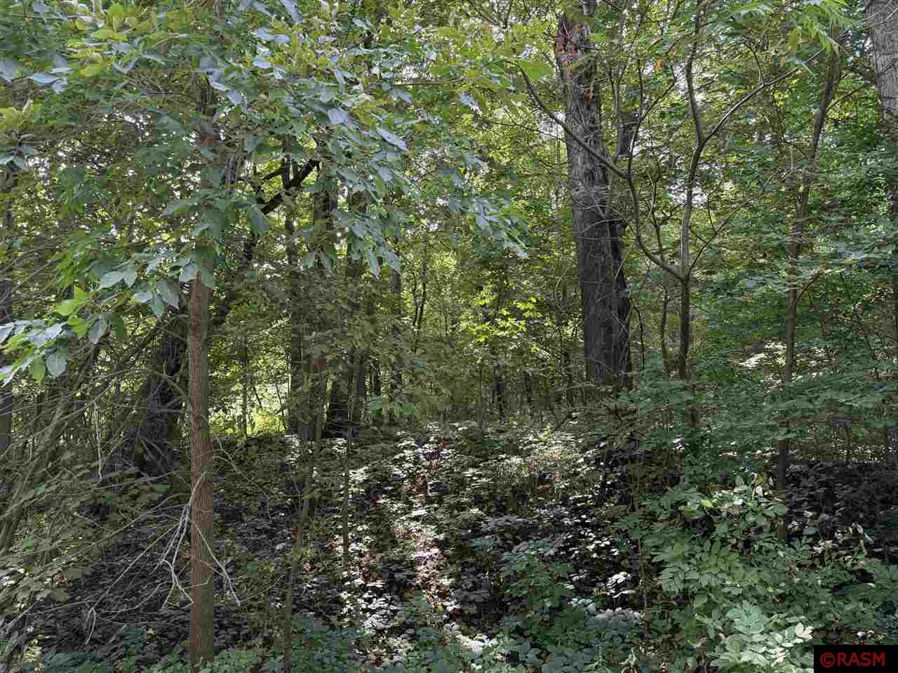 North Mankato, Minnesota, 56003, United States, ,Land,For Sale,1977593