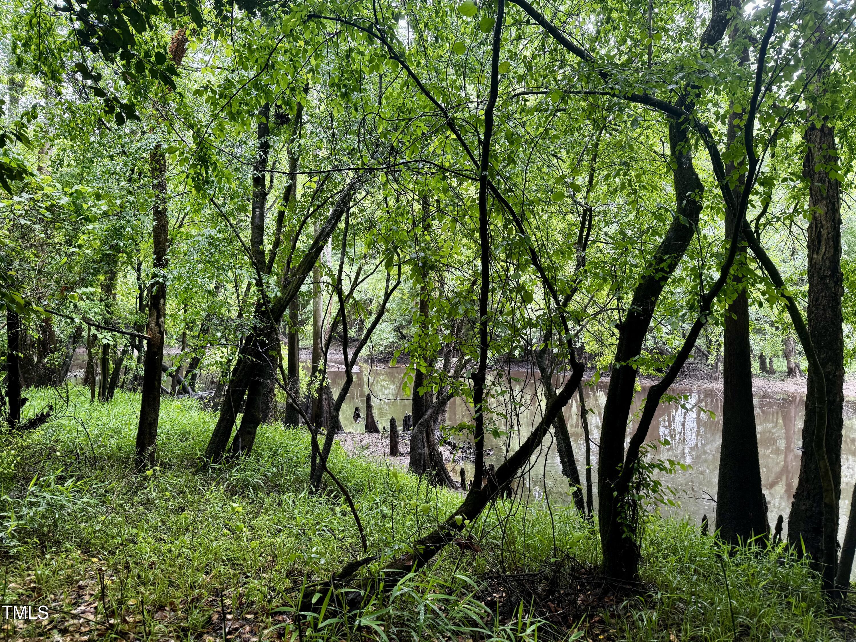 Murfreesboro, North Carolina, 27855, United States, ,Land,For Sale,1796477