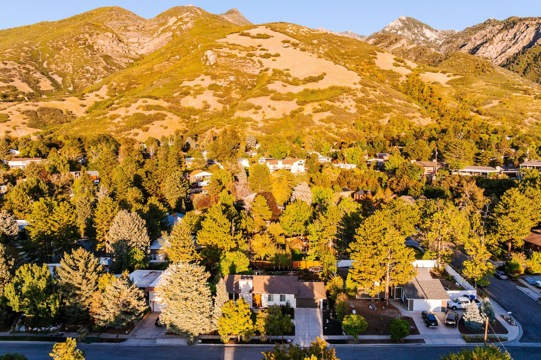  A Prime Cottonwood Heights Setting Near the Canyons - 物件實景