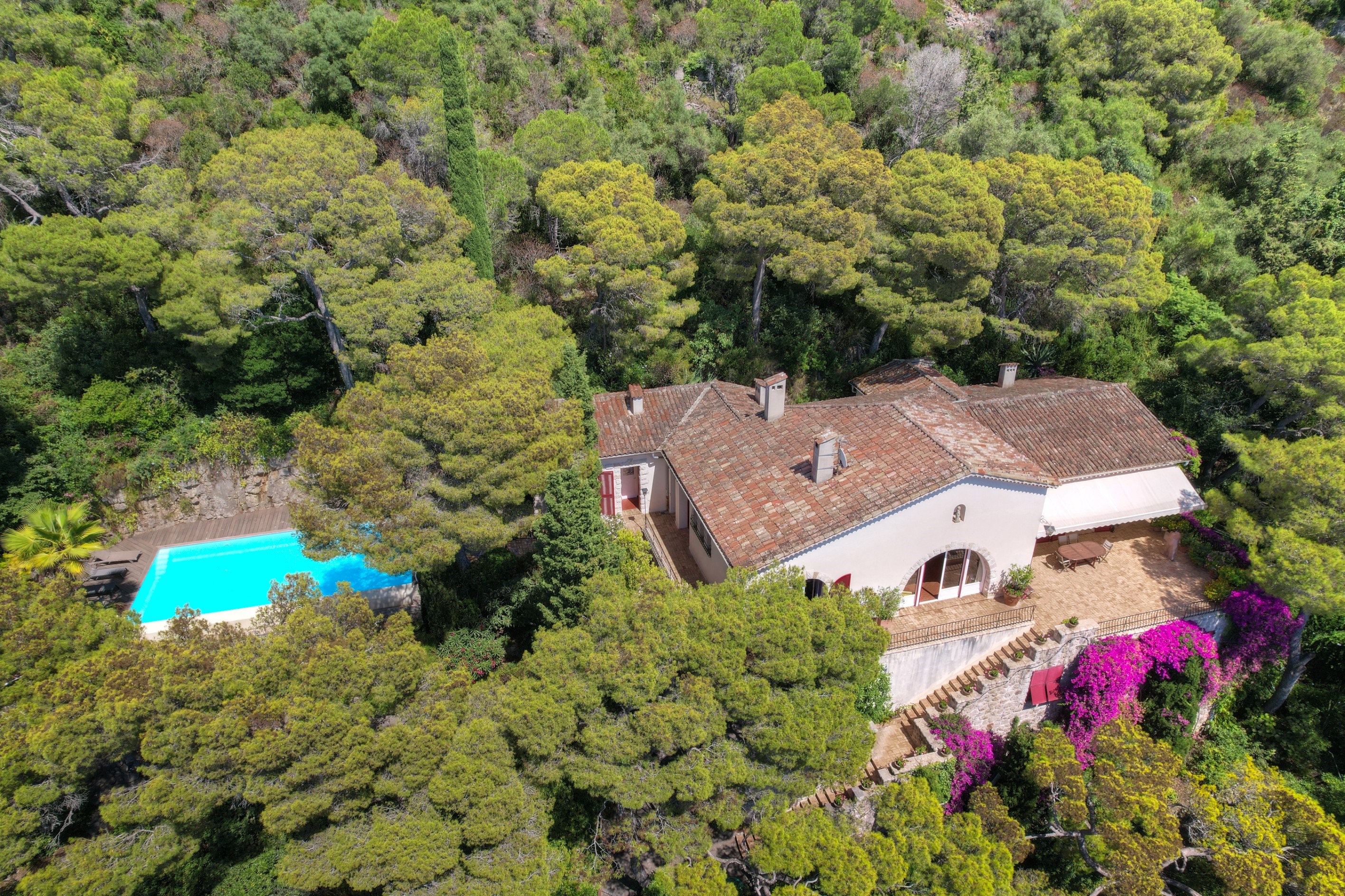  Exceptional provençal villa Cap-Ferrat, panoramic sea views, pool, landscaped g… - 物件實景