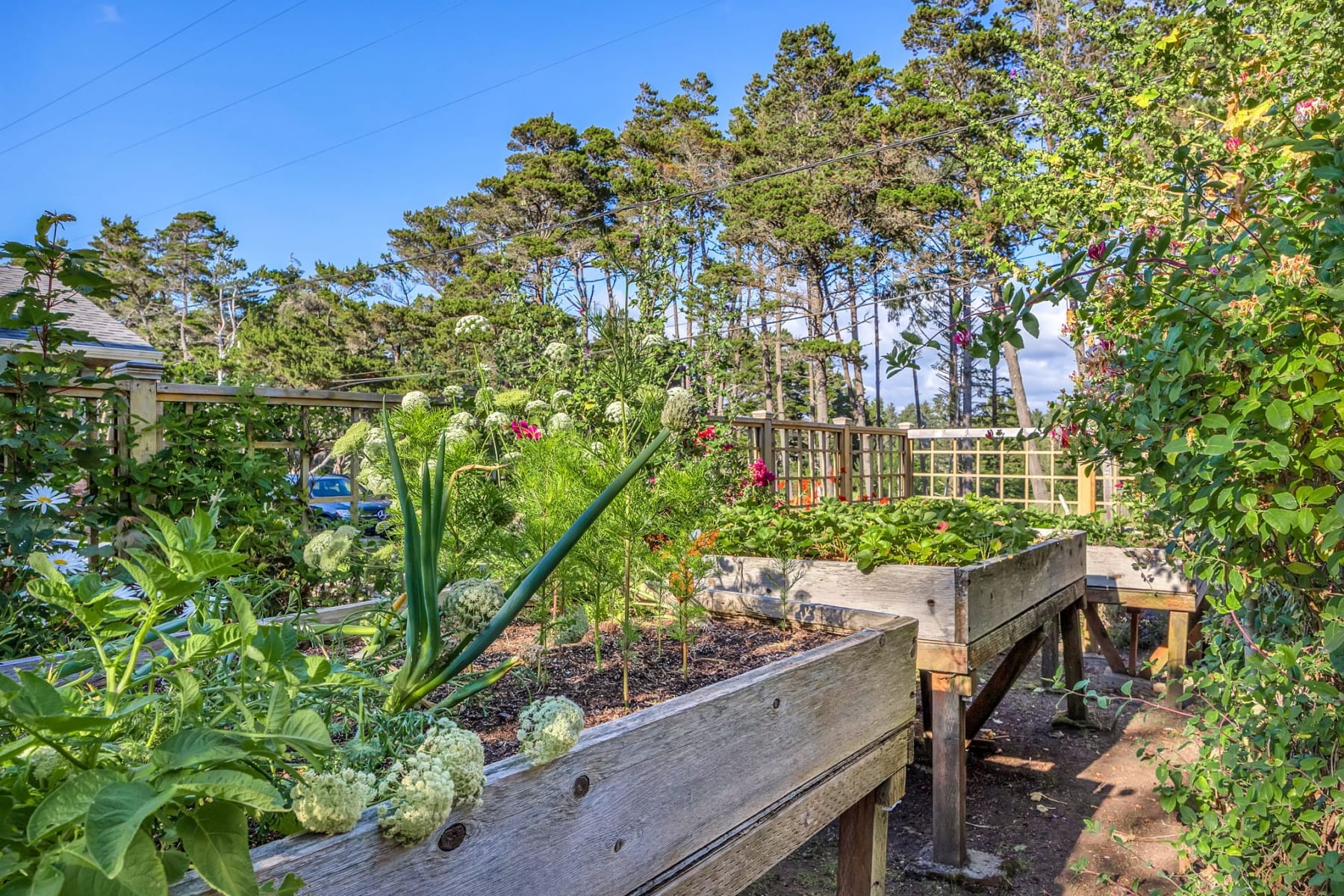  306 N MARION AVE Gearhart, OR 97138 - 物件實景