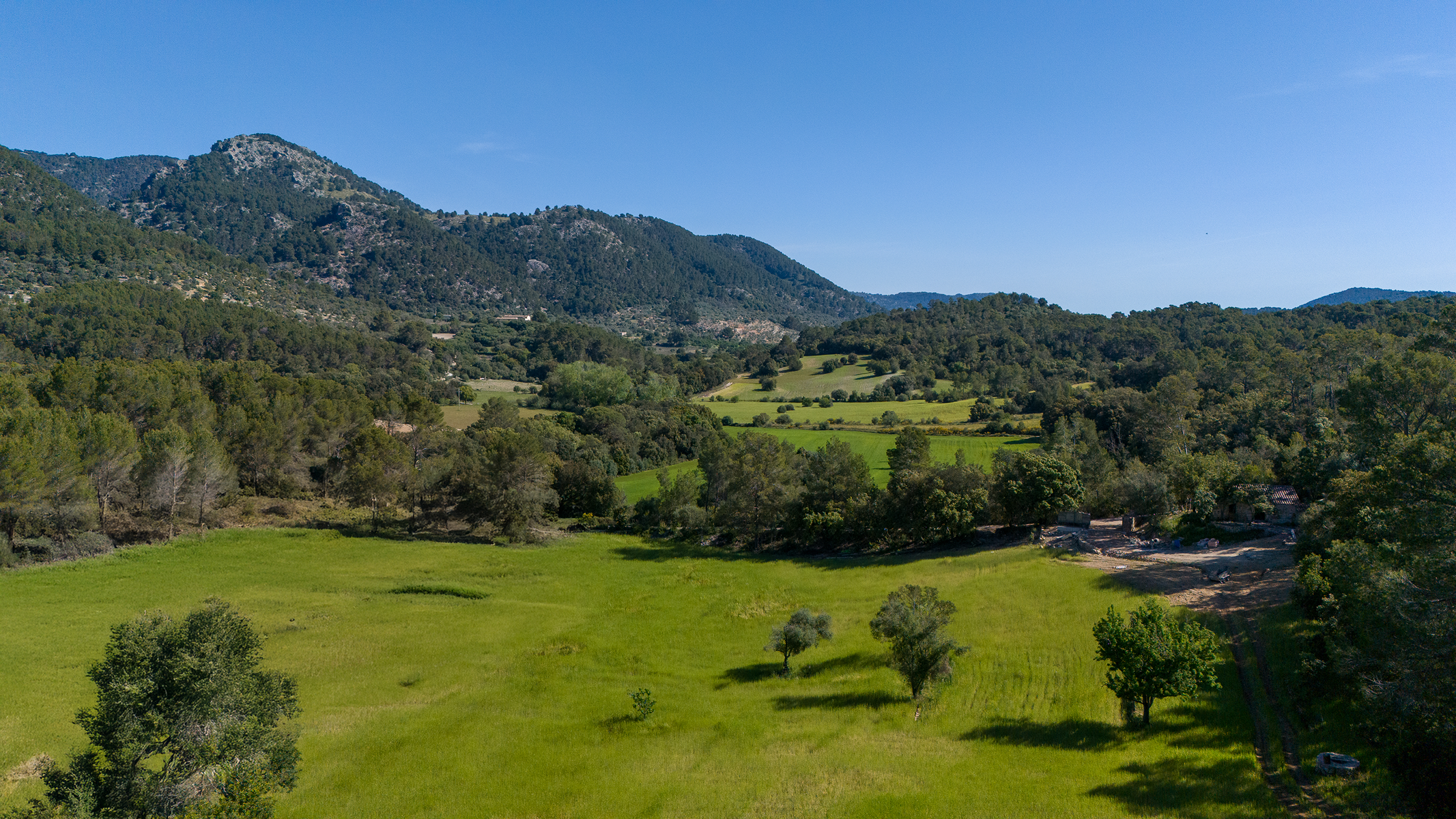  Plot with mountain views near Campanet - 物件實景