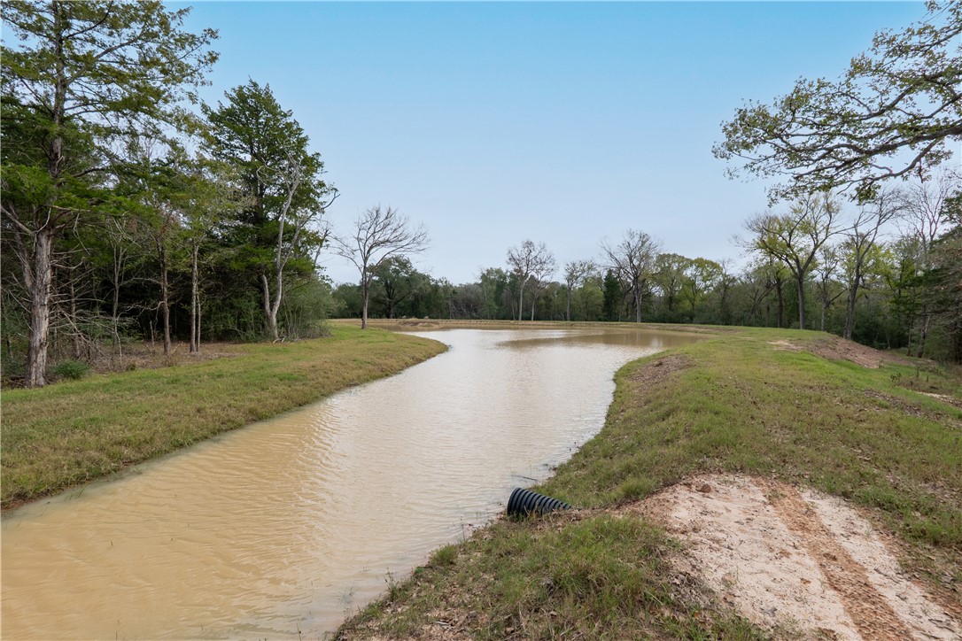 Thornton, Texas, 76687, United States, ,Land,For Sale,2003074