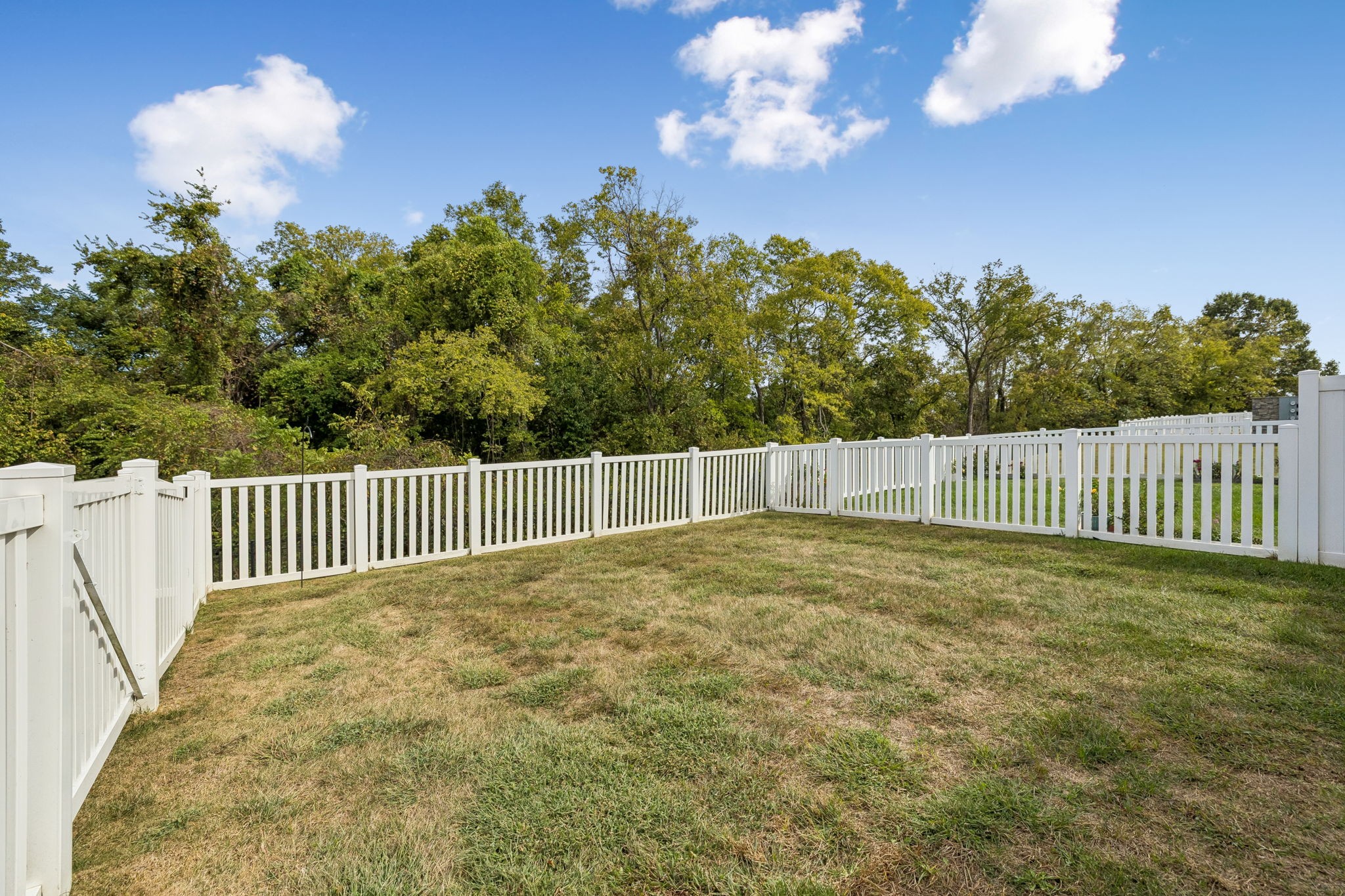  1426 Carderock Springs Dr, Gallatin, TN, 37066 - 物件實景
