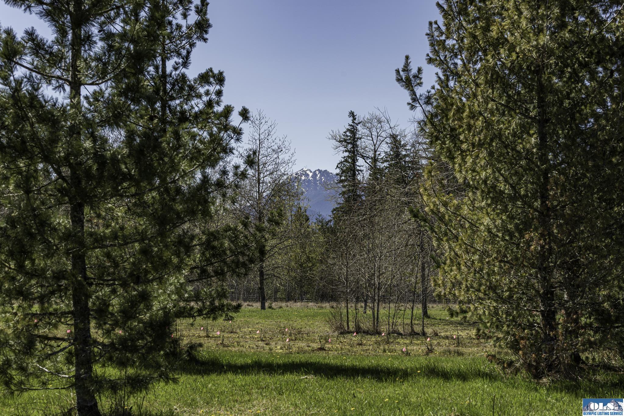 Sequim, Washington, 98382, United States, ,Land,For Sale,1787569