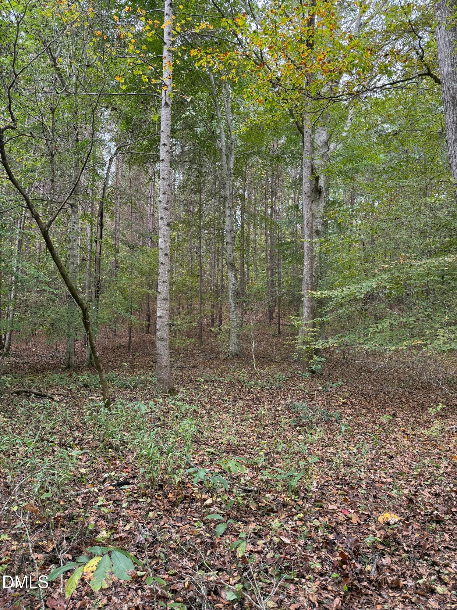 Oxford, North Carolina, 27565, United States, ,Land,For Sale,2000467