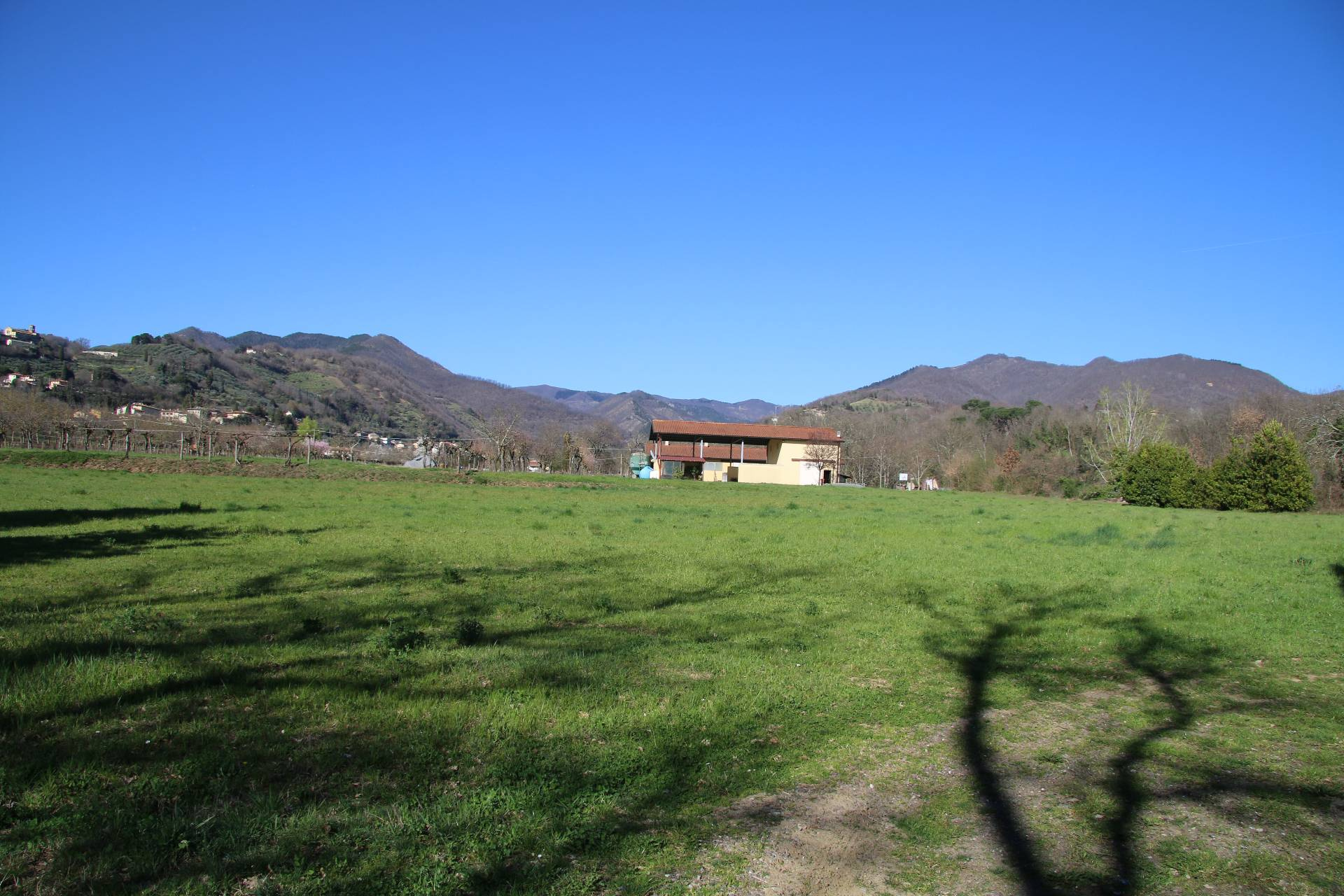 ronta campagna, Borgo San Lorenzo, Firenze, 50032, IT, 8 Bedrooms Bedrooms, ,5 BathroomsBathrooms,Residential,For Sale,ronta campagna,1441511