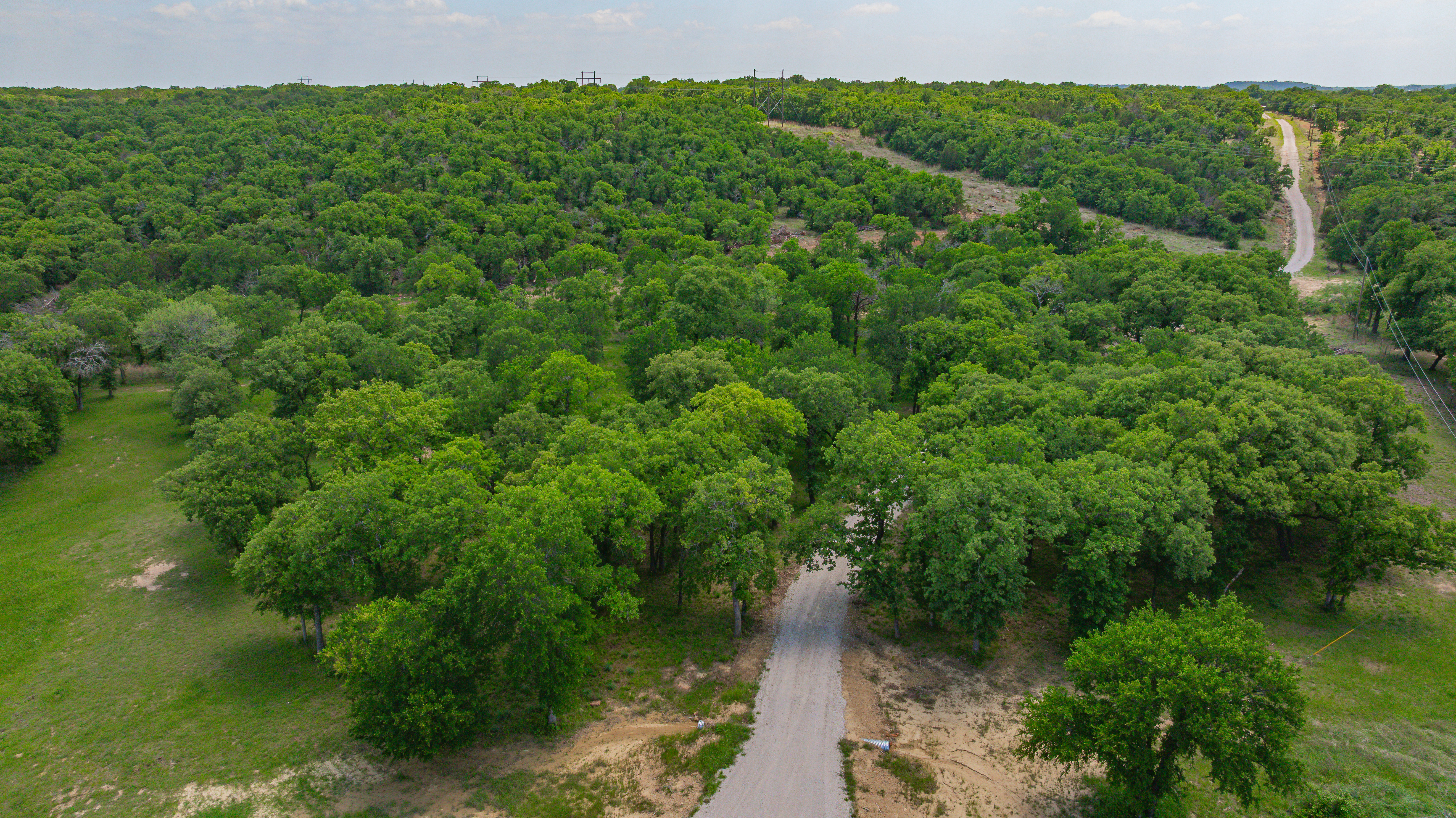  1525 Bosley Road, Santo, TX, 76472 - 物件實景