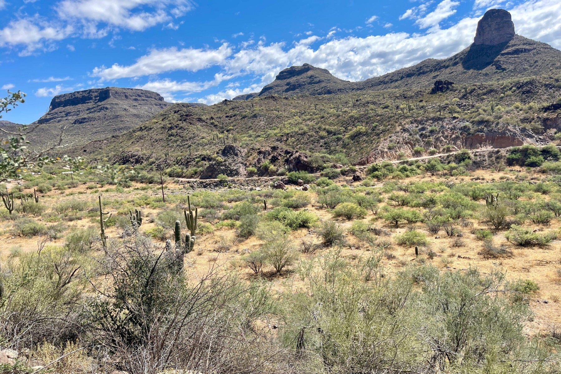  31900 S Tillys Trail¦Black Canyon City, AZ - 物件實景