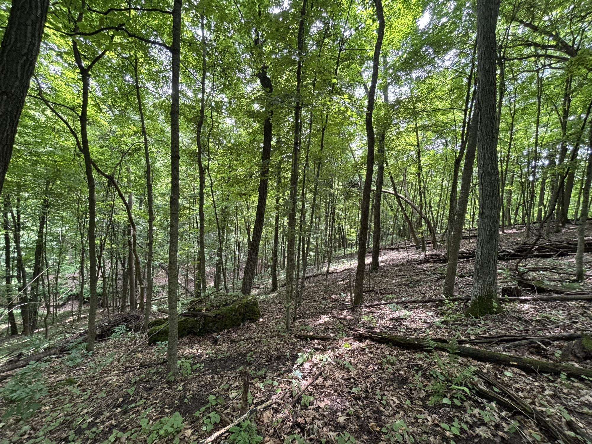 Gays Mills, Wisconsin, 54631, United States, ,Residential,For Sale,1928729