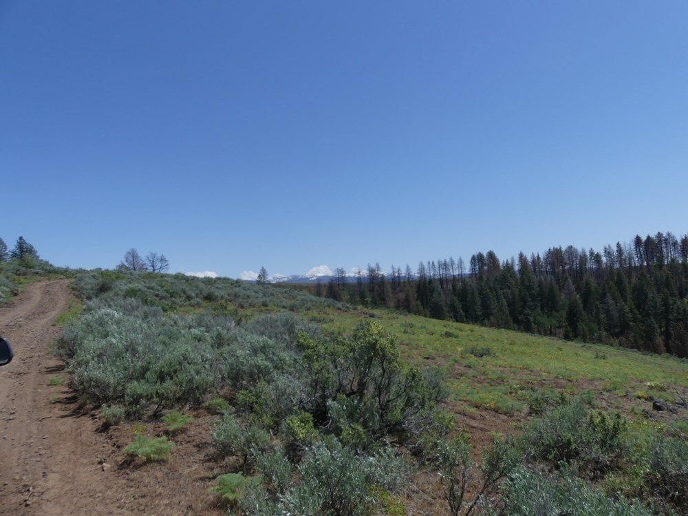 Indian Valley, Idaho, 83682, United States, ,Land,For Sale,1976667