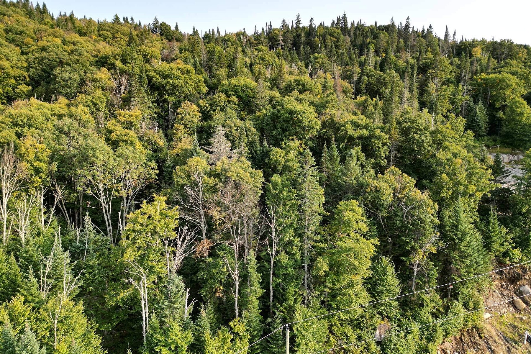  Saint-Donat, Lanaudière - 物件實景