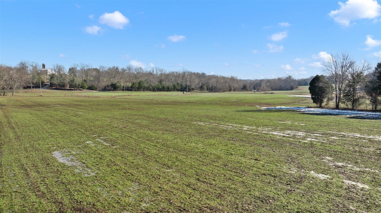 Lewisburg, Kentucky, 42256, United States, ,Land,For Sale,1688645