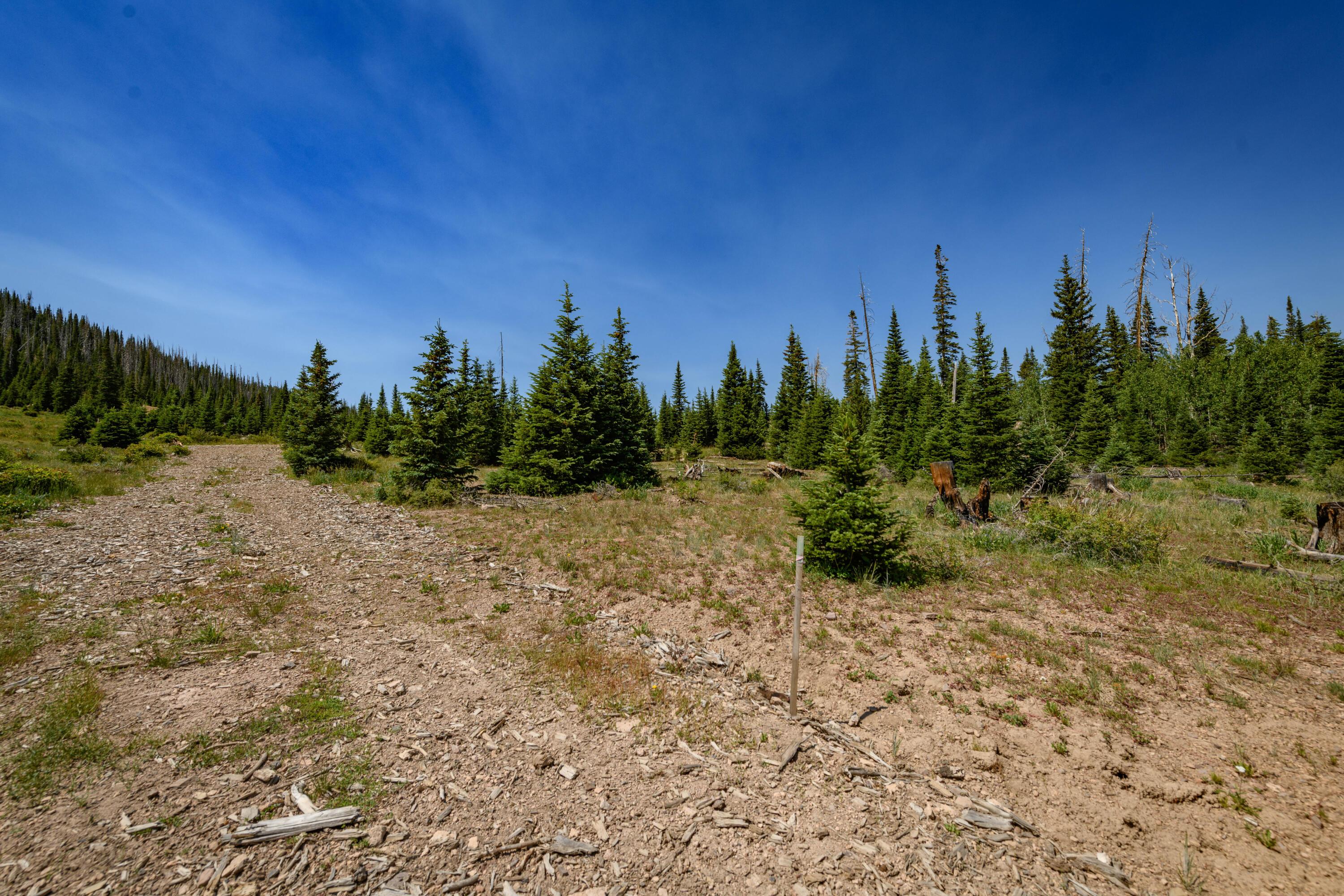 Brian Head, Utah, 84719, United States, ,Residential,For Sale,1983470