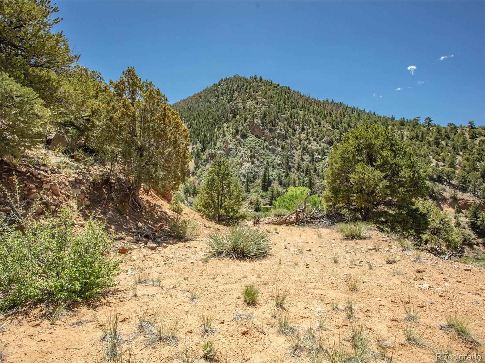 Poncha Springs, Colorado, 81242, United States, ,Land,For Sale,1975711