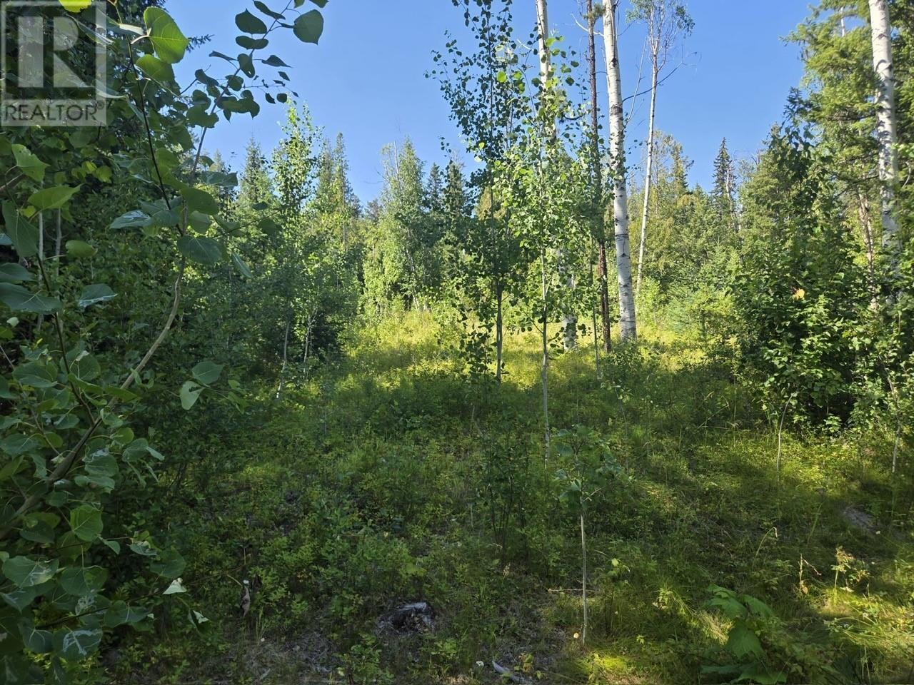 FALKLAND, British Columbia, V0E 1W1, CA, ,Residential,For Sale,1906760