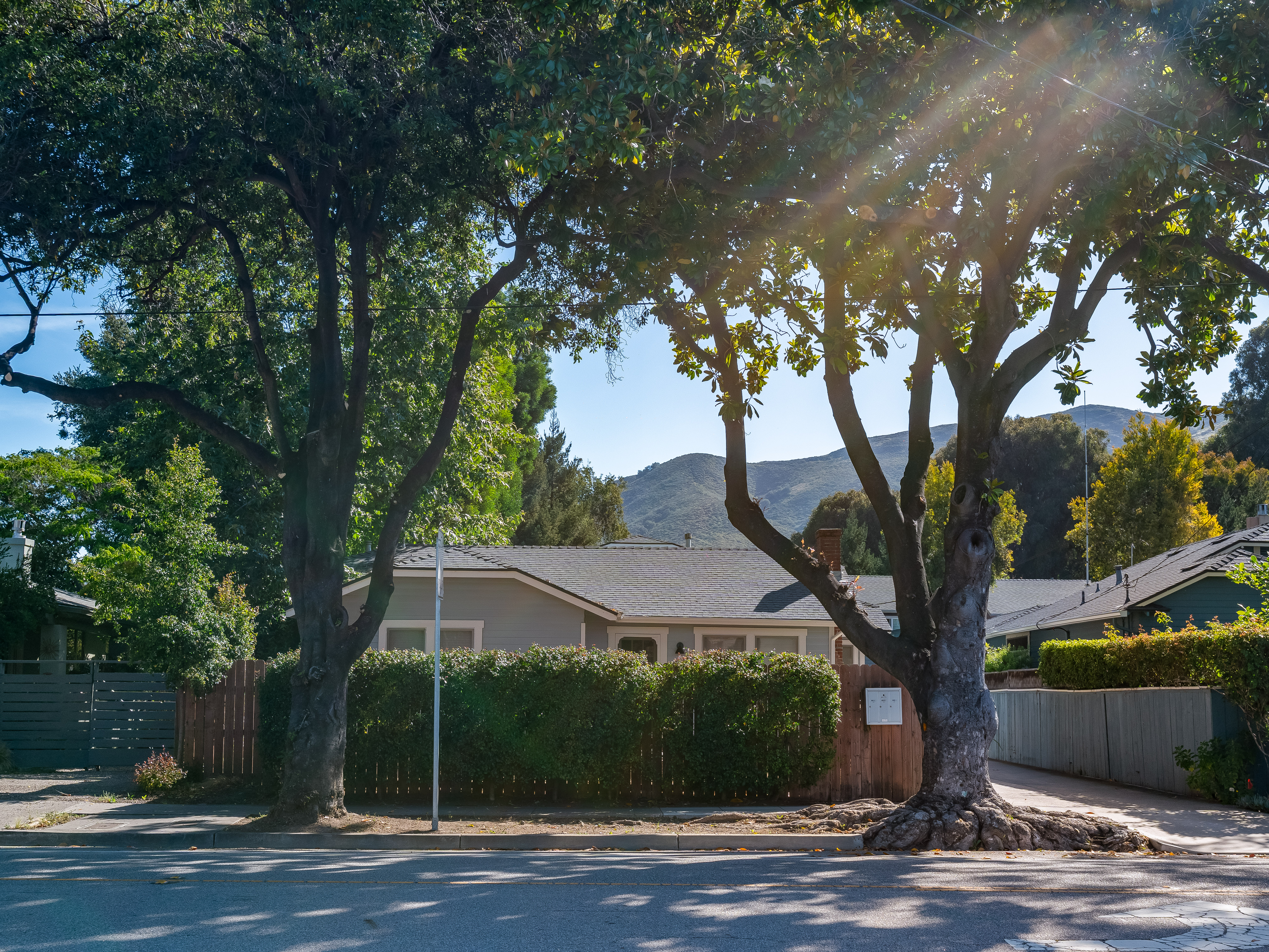  Great Triplex Opportunity - 物件實景
