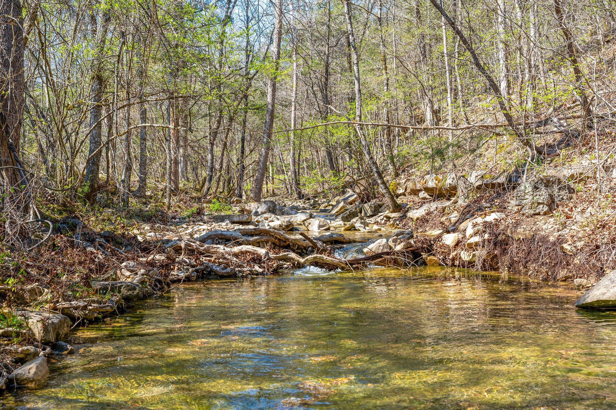 Kirbyville, Missouri, 65679, United States, ,Land,For Sale,1978892