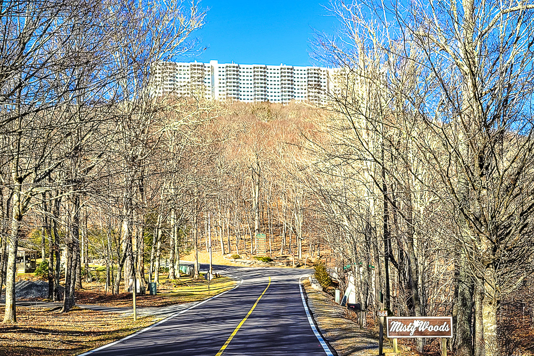  SUGAR TOP - 物件實景